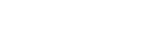 Diversified Automotive Soltuions